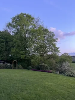 L'Orée du Bois - Chambres d'hôtes à Martué (Florenville) - Jardin et arbres