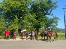L'Orée du Bois - Chambres d'hôtes à Martué (Florenville) - Cavaliers et chevaux