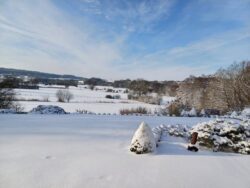 L'Orée du Bois - Chambres d'hôtes à Martué (Florenville) - Paysage enneigé